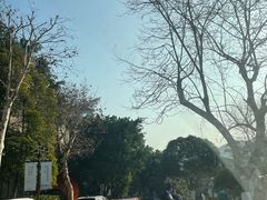 -海兰云天度假区温泉