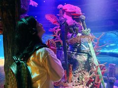 -沈阳海洋探索中心