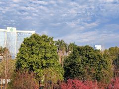 -西湖公园(鼓楼区)