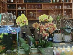 -Rabbit Cafe私房西餐甜点咖啡(栖霞路店)