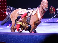 -珠海横琴长隆《卡卡虎奇遇记》