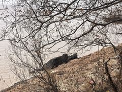 -平湖九龙山旅游度假区