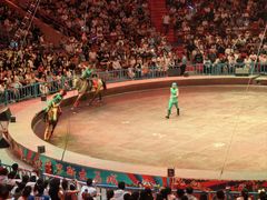 -俄罗斯国家大马戏团