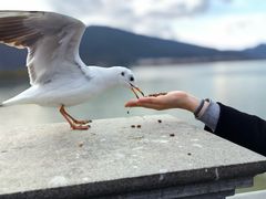 -海埂大坝