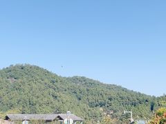 -广州白江湖森林公园