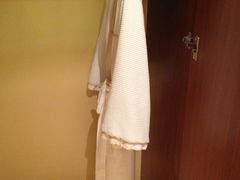 -上海波特曼丽思卡尔顿酒店