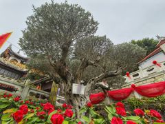-莆田湄洲妈祖祖庙