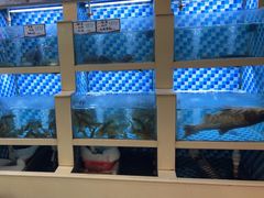 -野渡坡·极致湘菜·庭院餐厅(汉阳店)