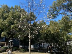 -浙江大学(玉泉校区)
