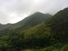 iphone_upload_pic-东天目山风景区