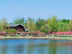 -永定河休闲森林公园