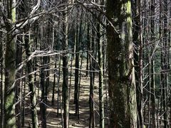 -山王坪喀斯特国家生态公园