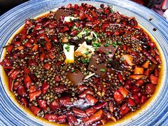 -院8里·少城记忆老川菜(宽窄巷子店)