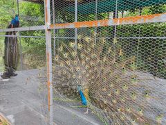 -福建鲤鱼洲酒店