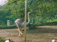 -吉隆坡雀鸟公园