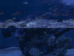 -海合安武汉极地海洋公园