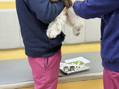 -美联众合动物医院·24h转诊中心