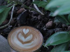 -Peet's 皮爷咖啡(东湖路手作店)