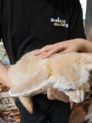-Zoolung Zoolung动物主题公园(海信广场店)
