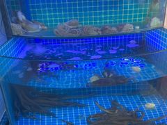 -前王院•巧克力海鲜市集餐厅(万平口店)