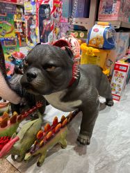 -新奇玩具工厂店