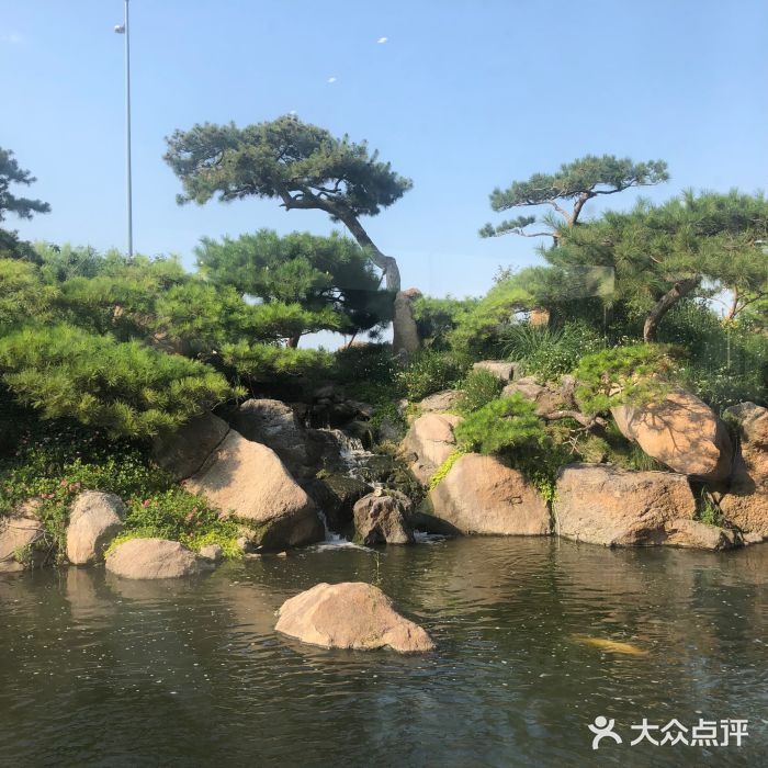 罗红摄影艺术馆图片