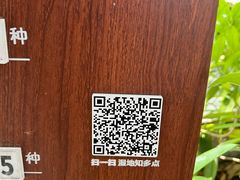 -华侨城湿地公园