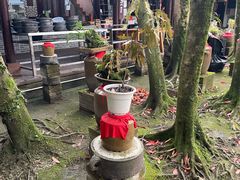 -土砂锅生态山庄·非遗砂锅雅鱼