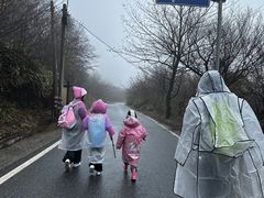 -浙西天池景区