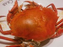 -Ministry of Crab•MOC(交子大道店)