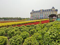-广州花之恋城堡酒店
