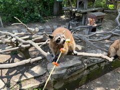 -宁波野生动物园
