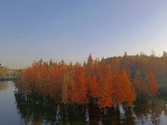 -白鹭湾湿地公园