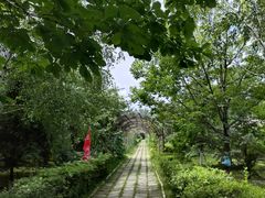 -白渔泡湿地公园