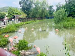 -上方山森林动物世界