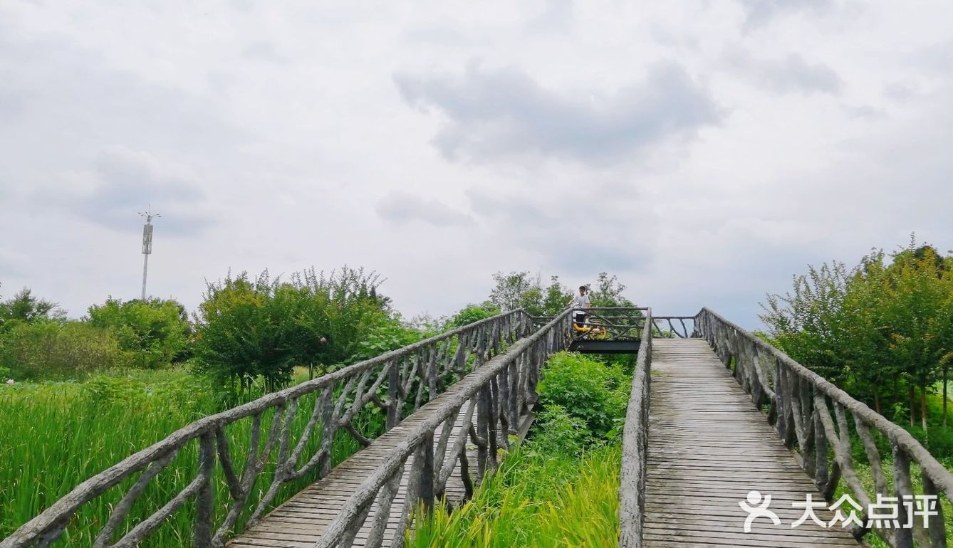 成都周边游/野餐好去处/三道堰