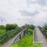 成都周边游/野餐好去处/三道堰