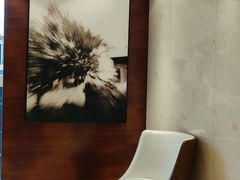 -香港尖沙咀凯悦酒店