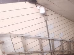 -上海科技馆(地铁站)