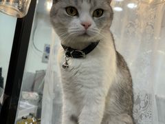 -共舞时光猫咖·狗咖(新街口店)