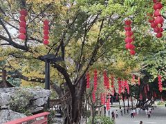 -荔湾湖公园