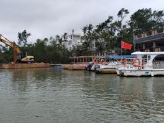 -东寨港红树林旅游区