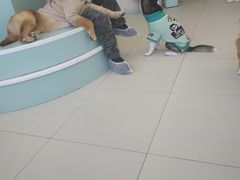 -怪兽屋·羊驼·猫咖·狗咖(俊华广场店)