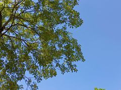 -凤岭儿童公园