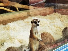 -大连森林动物园