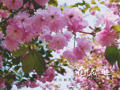 -石岛赤山风景区