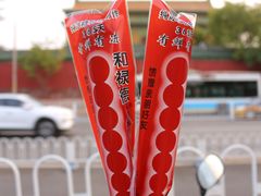 -和禄德冰糖葫芦