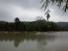 -长兴慧子土特产茶行