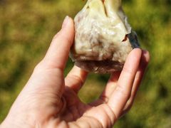 -同济大学本部学苑饮食广场