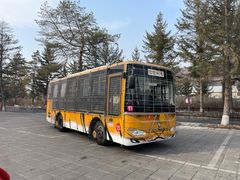 -横道河子东北虎林园